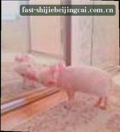 陈静
